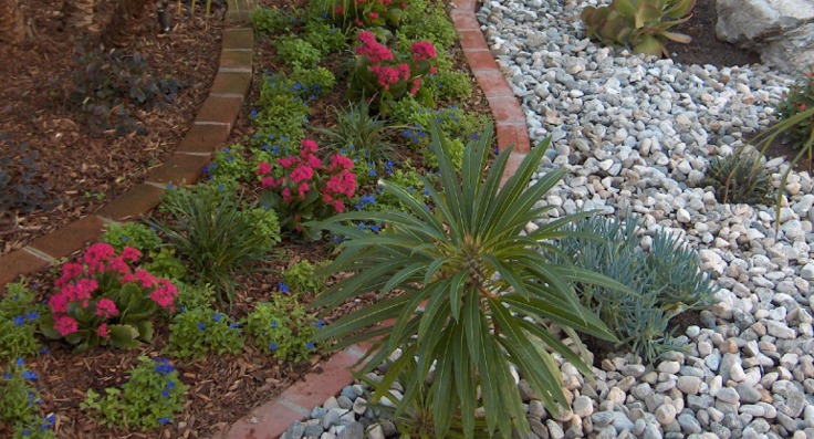 Mulching and rockbed installation services. Repair Daddy provides mulching and rock beds landscaping services for your yard - Repairdaddy.biz - Call 954-418-2355.